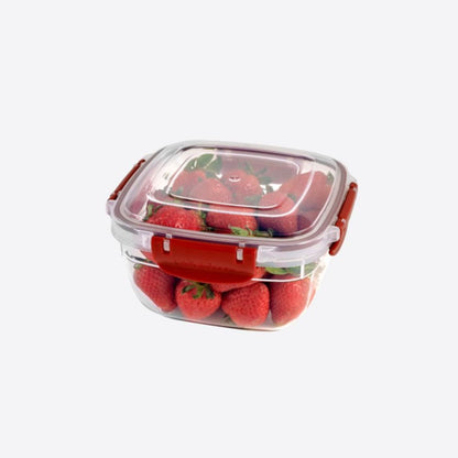 FreshCo Square Fridge Container 3 pc Set- Big